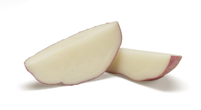Pootaardappelras Rudolph Agrico
