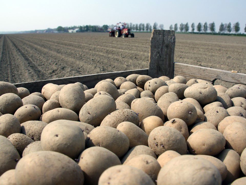 21 04 11 Ar Poten Uitgangsmateriaal Zwartemeerweg 0002