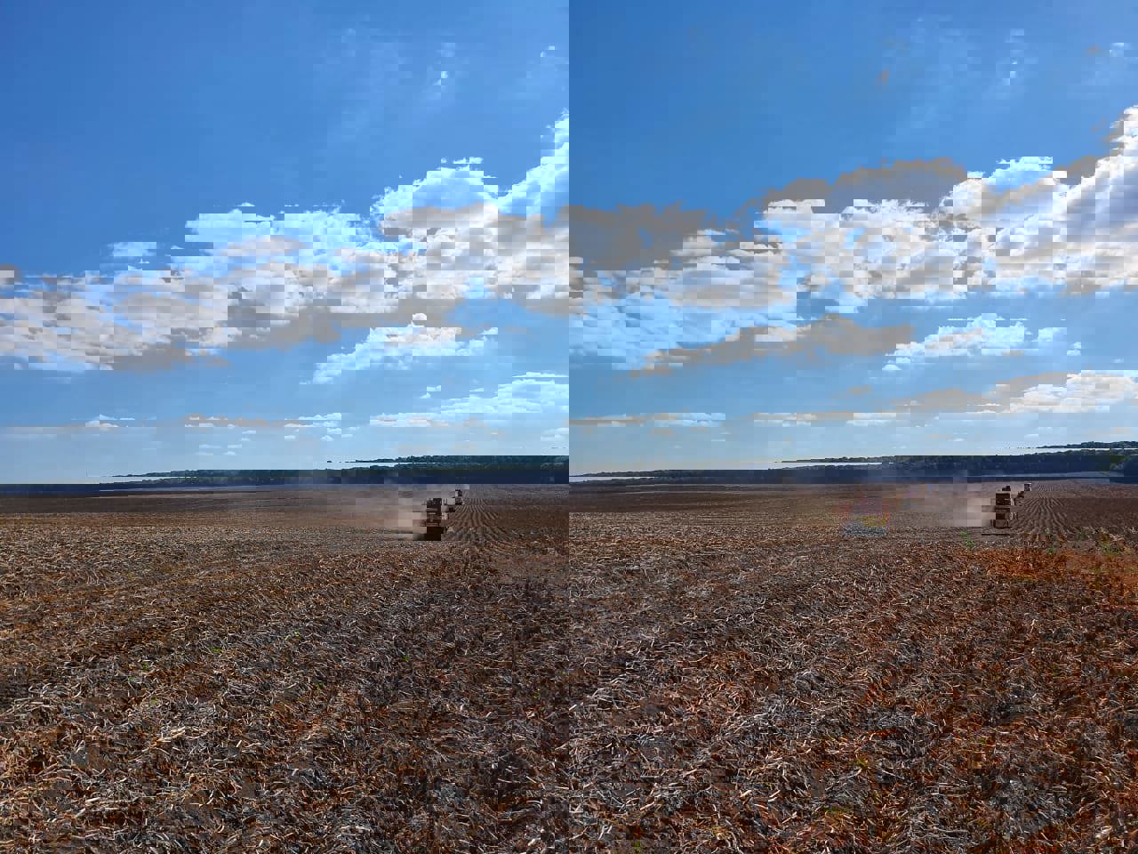 IMG 20200908 WA0004