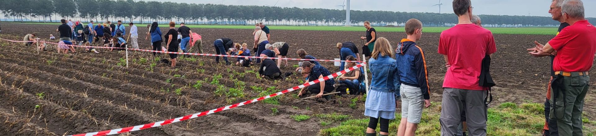 Potato harvest day field demonstration