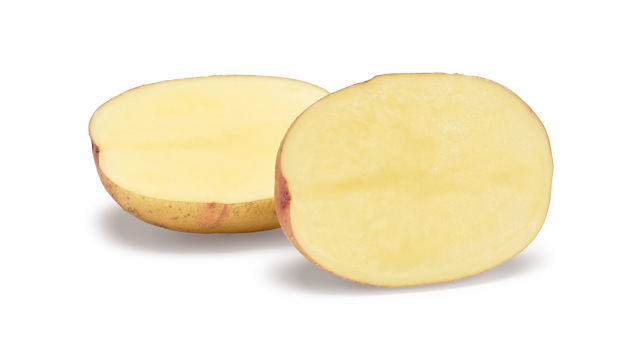 Pootaardappelras Carolus