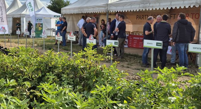 Weuthen Kartoffeltag 2026