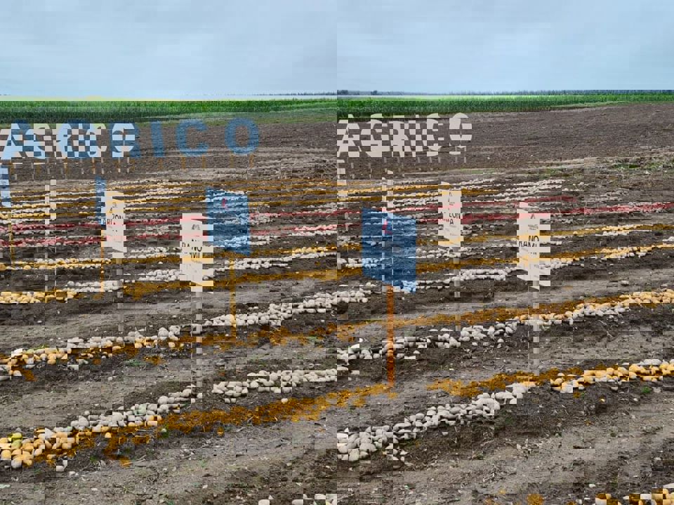 Polen Demonstration Plots Sept 2025 14.