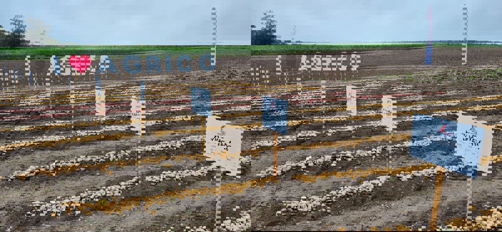 Polen Demonstration Plots Sept 2025 14.
