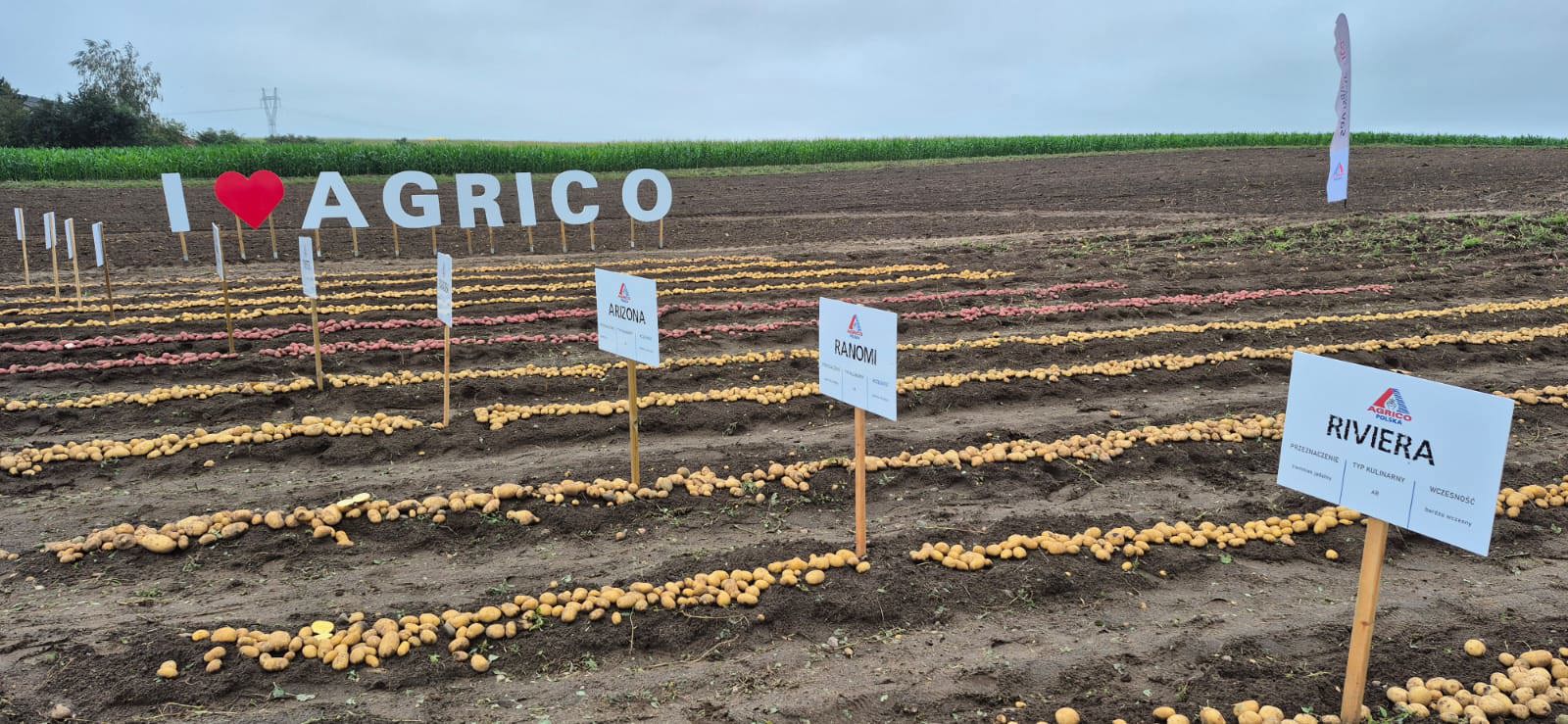 Polen Demonstration Plots Sept 2025 14.