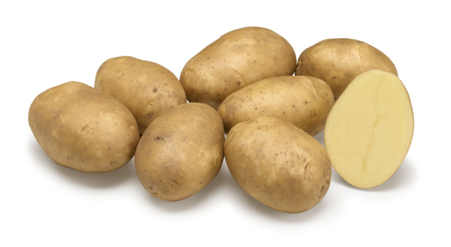 Performer GRB CL©Agrico21 (1)