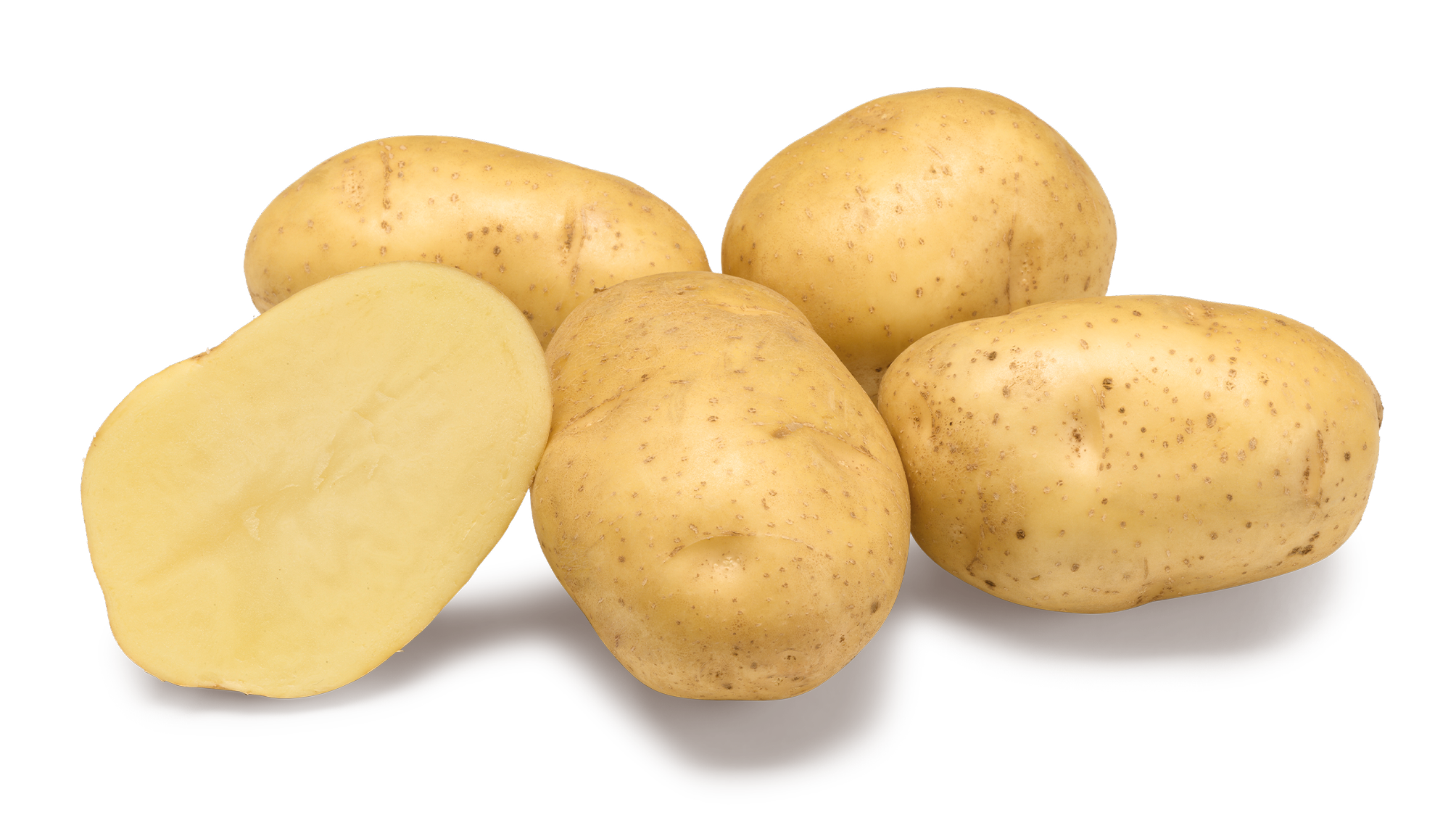 Zafira | An Agrico potato variety