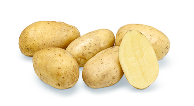 (Nest) Indeling Websitefoto's LR Sevilla Nest B