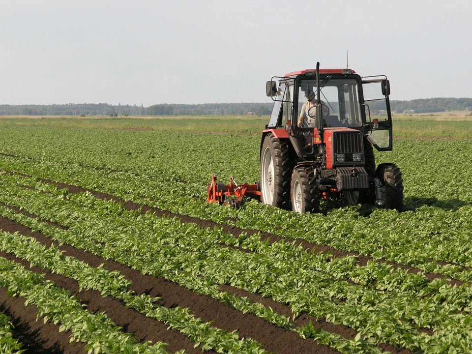 Trekker In Veld 2 Litouwen