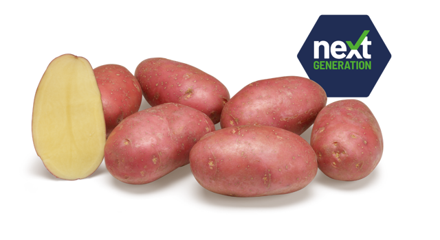 Next Generation Alouette