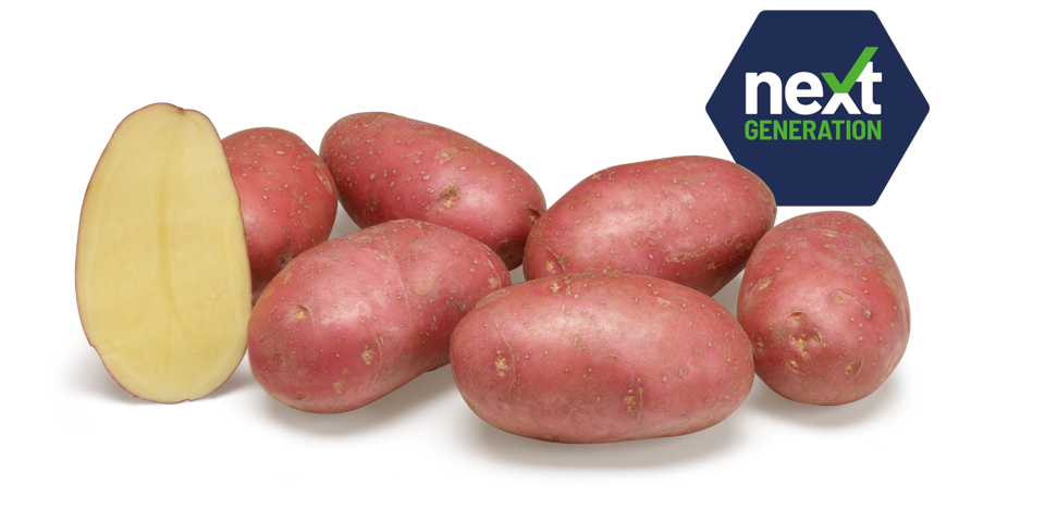 Next Generation Alouette