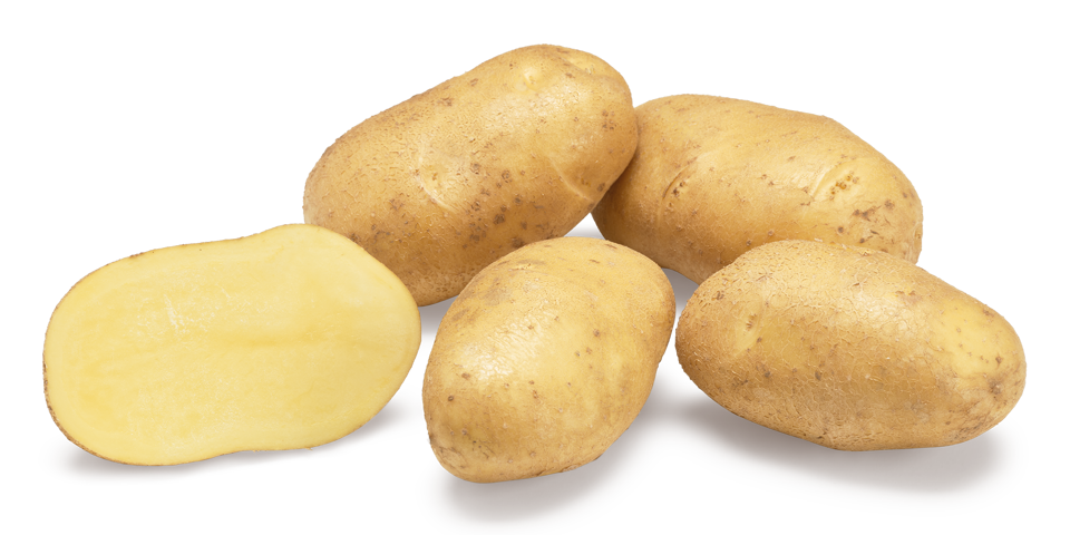 aardappelras-babylon