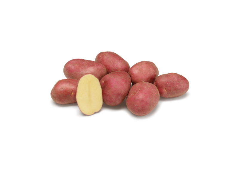 Potato Varieties