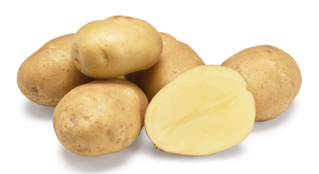 Fontane nestje met doorsnee