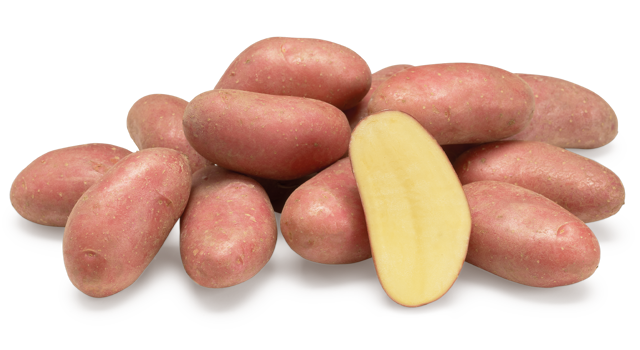 Aardappelras Cerisa