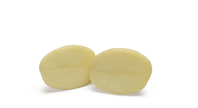 LR Sivas SNG CL©Agrico