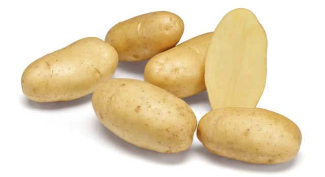 Aardappelras Fajah