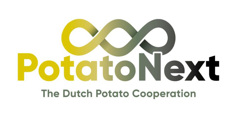 Potatonext Website HR