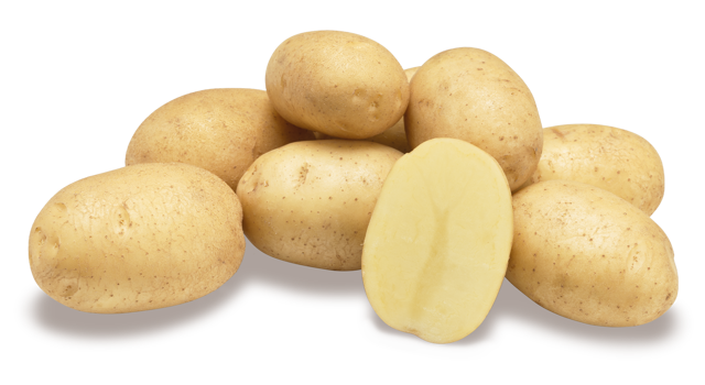 Aardappelras Artemis