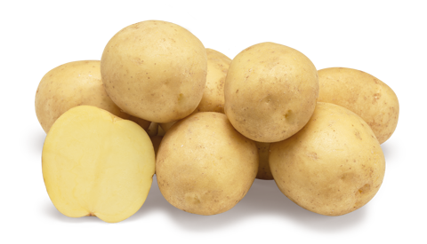 Constance nestje met doorsnee