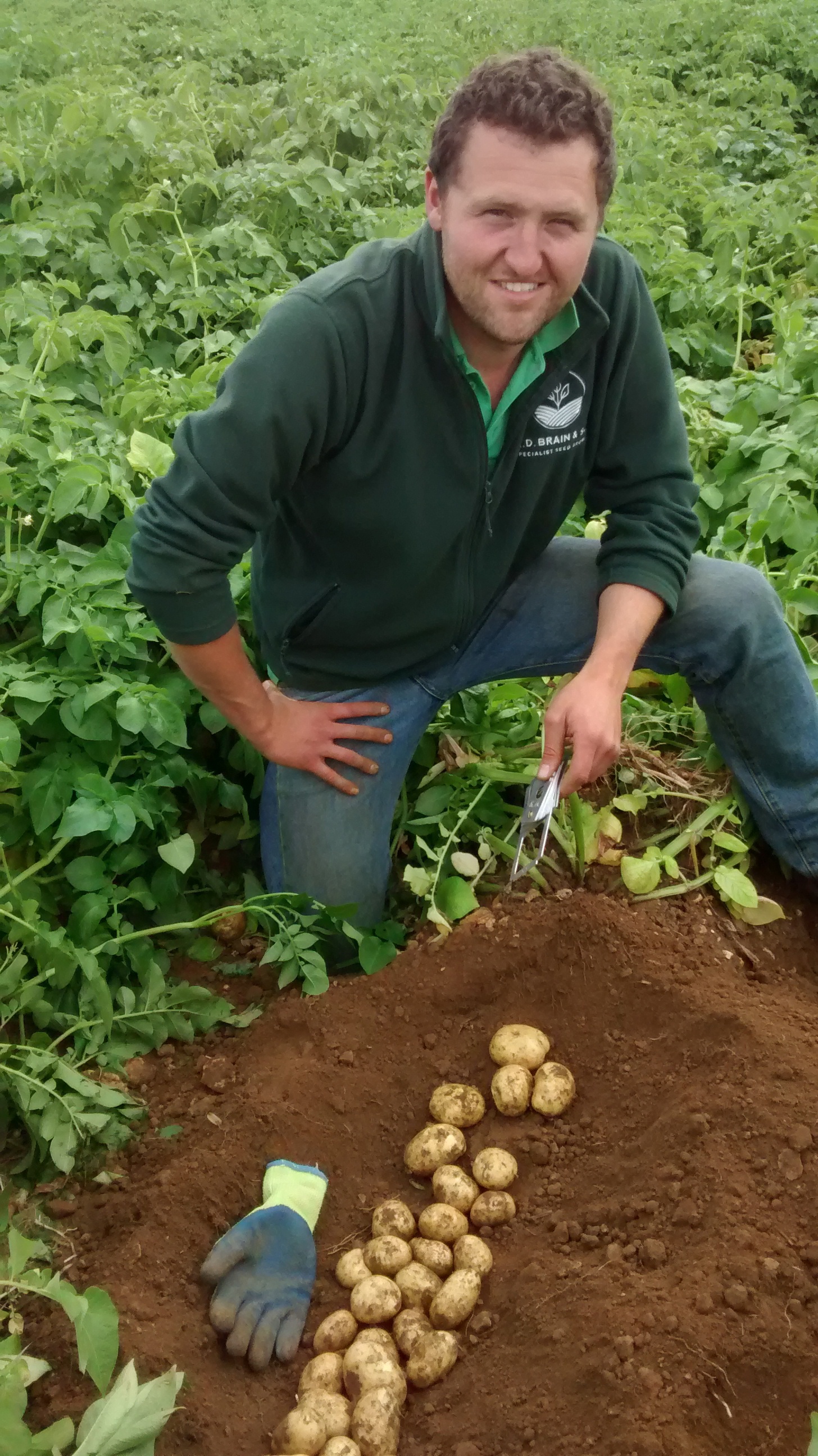 Markies COM TBR©Agrico21 1