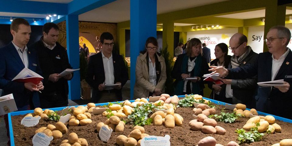 Klaas Eissens Agrico Rassenshow 07 11 19 4