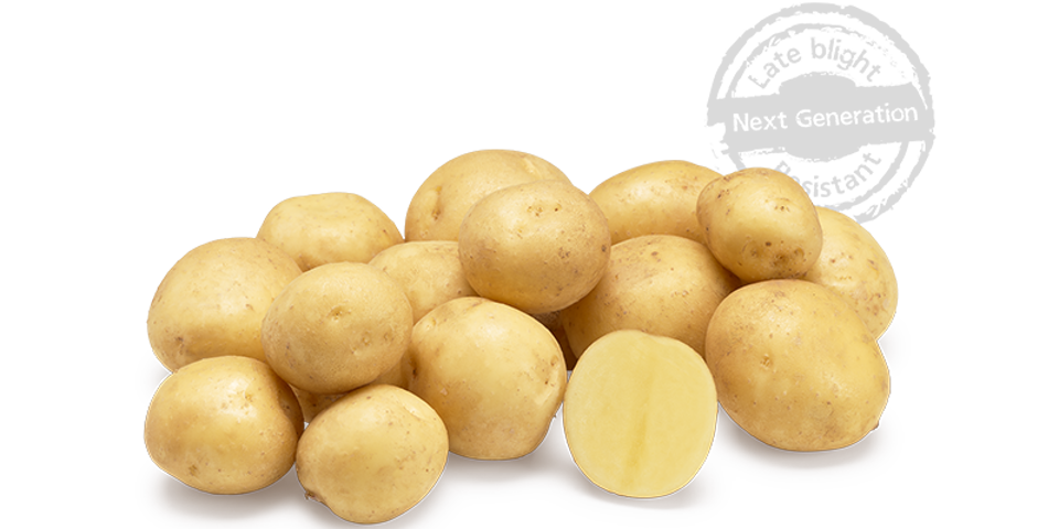 Jacky GRB CL©Agrico20 Met Stempel800x448